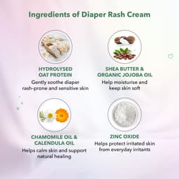 Diaper Rash Protection Pack (Diaper Rash Cream x 2)